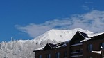 DSC_4143-5ced5.JPG