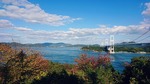 IMG_20191104_232402_403-c72d8.jpg